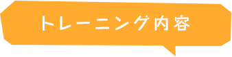 トレーニング内容